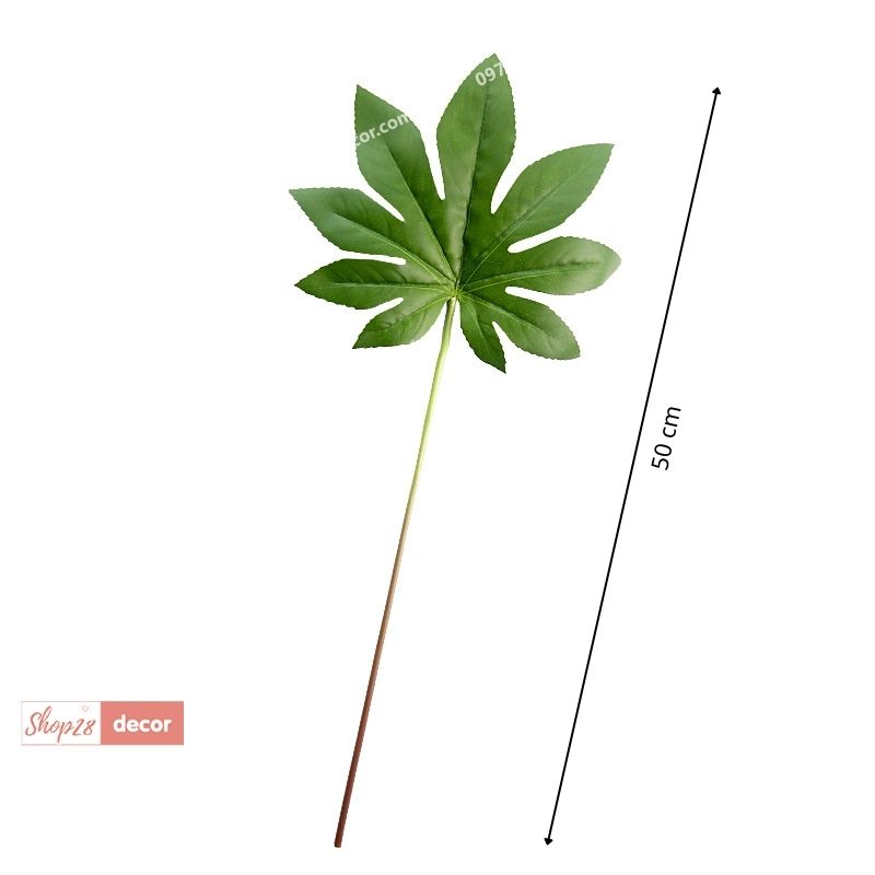 Lá cây trang trí chụp ảnh sản phẩm - Shop28Decor Lá cây trang trí chụp ảnh sản phẩm - Shop28Decor