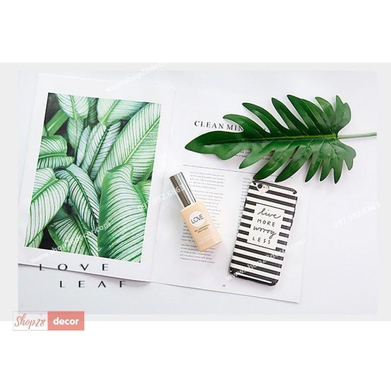 9 Cuốn tạp chí chụp ảnh