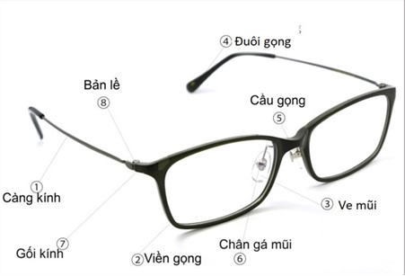 Các chi tiết trên kính