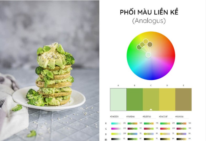 phối màu liền kề