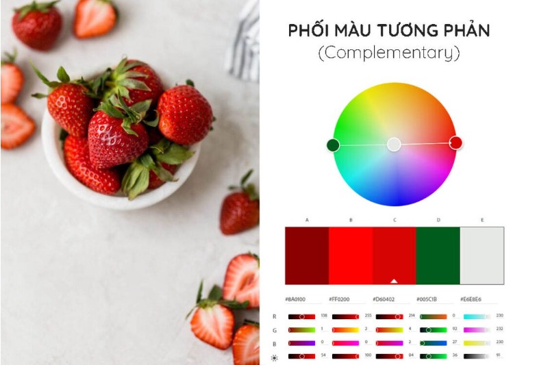 phối màu tương phản phông nền trung tính
